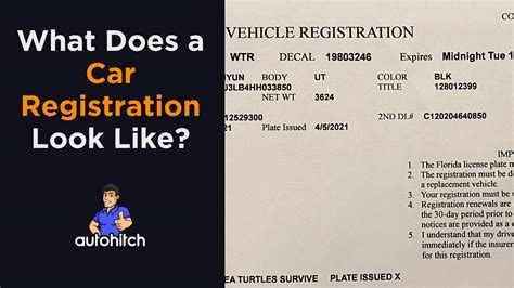 What Does a Car Registration Look Like? And Why Does It Feel Like a Puzzle Missing a Piece?