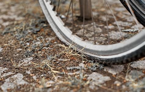 Why Do Bike Tires Lose Air and Why Do We Still Love Riding Them?