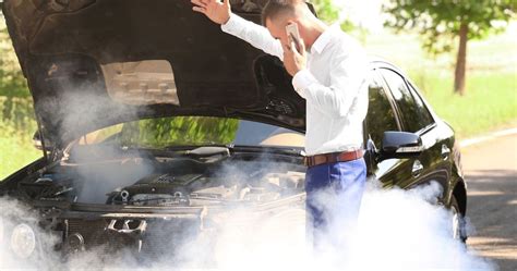 Why is My Car Smoking from the Hood and Why Do Birds Suddenly Appear Every Time You Are Near?